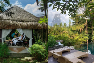 premium wellness retreats