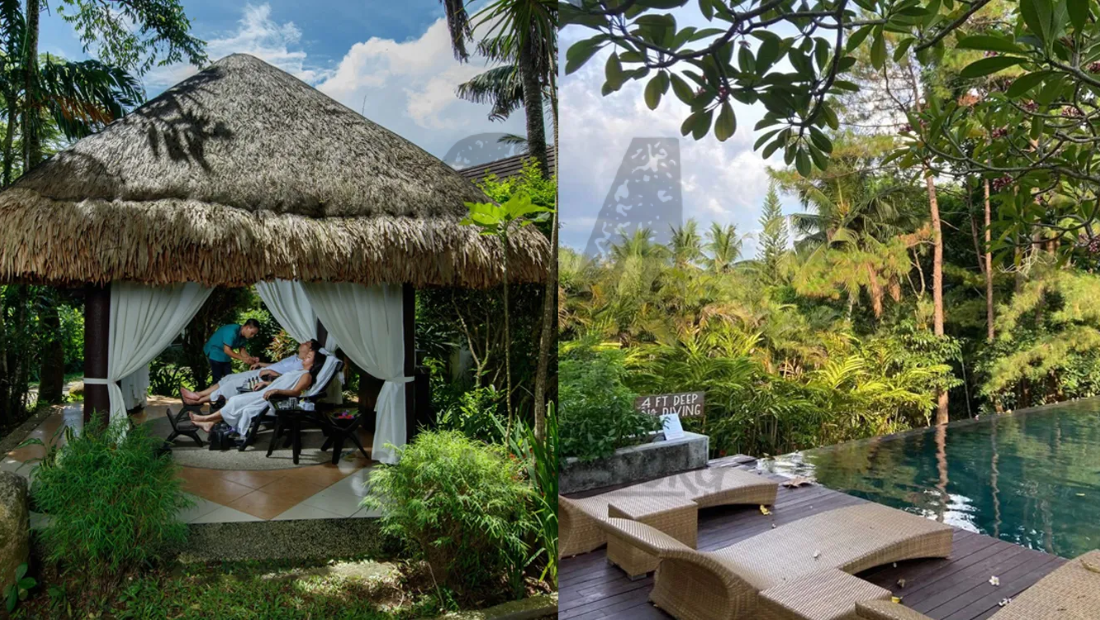 premium wellness retreats